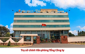 Cổ phần hoá Công ty mẹ - Tổng công ty Thương mại Xuất nhập khẩu Thanh Lễ