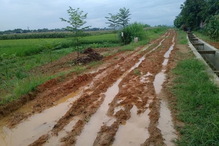 Phú Thọ: Công ty Thanh Lâm trúng thầu nhờ lãnh đạo huyện Phù Ninh “bật đèn xanh”?