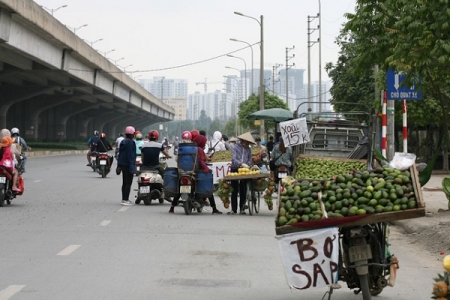 Hà Nội sẽ xóa bỏ các điểm bán trái cây dưới lòng đường, vỉa hè ở nội thành