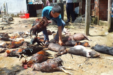 TP. HCM: Sẽ thanh tra toàn diện các cơ sở kinh doanh khí hóa lỏng trên địa bàn