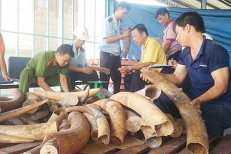 TP.Hồ Chí Minh: Khởi tố 18 vụ vi phạm pháp luật về xuất nhập khẩu