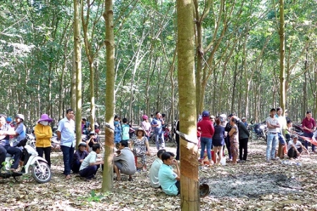 Bình Phước: Bắt giữ nghi can sát hại bé gái 4 tuổi