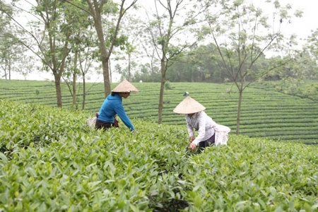 Những điểm sáng trong quý 1