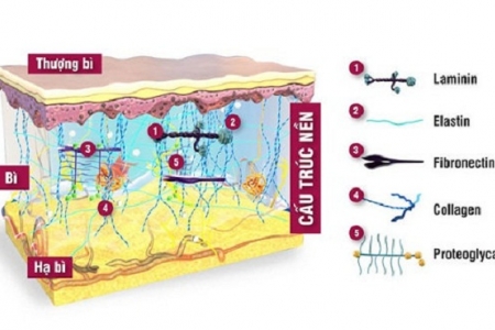 Bí quyết giữ mãi làn da tươi trẻ