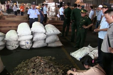 TP. Hồ Chí Minh: Phát hiện gần 3,8 tấn vảy tê tê