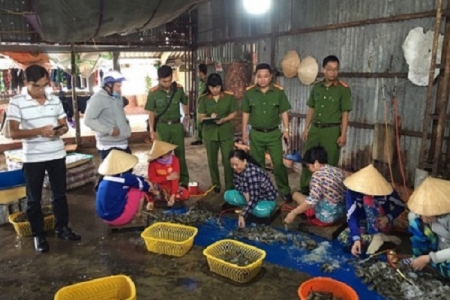 Phạt 2 cơ sở bơm tạp chất vào tôm nguyên liệu số tiền 185 triệu đồng