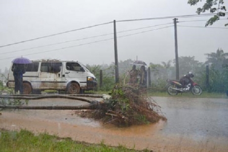 Hà Giang: Mưa lớn kéo dài gây ngập úng cục bộ tại một số địa phương