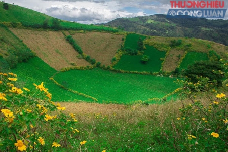 Gia Lai: Chuẩn bị cho lễ hội Hoa dã quỳ-Núi lửa Chư Đăng Ya 2018