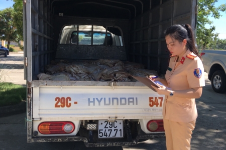 Thanh Hóa: Bắt giữ vụ vận chuyển 1 tấn bì lợn bốc mùi hôi thối