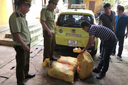 Lạng Sơn: Thu giữ lô hàng mỡ lợn nhập lậu