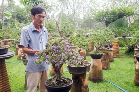 Bến Tre: Chú trọng phát triển, nhân rộng mô hình hợp tác xã kiểu mới