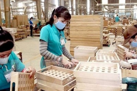 Gỗ Trung Quốc ‘đội lốt’ hàng Việt xuất khẩu để né thuế