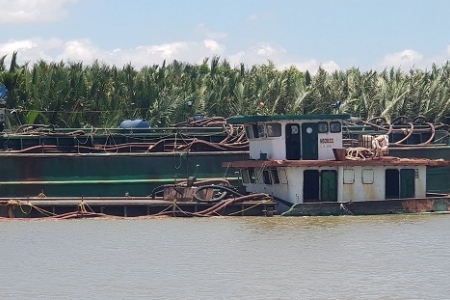 TP.HCM: Yêu cầu xử lý nghiêm các trường hợp khai thác, vận chuyển và mua bán cát trái phép