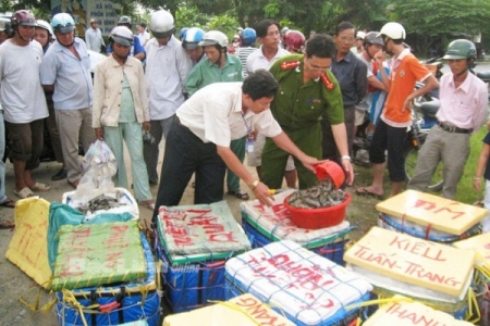 Nghệ An: Đẩy lùi thực phẩm bẩn