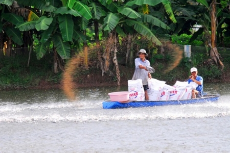 Đồng Tháp: Đầu tư khoảng 146 tỷ đồng sản xuất giống cá tra chất lượng cao