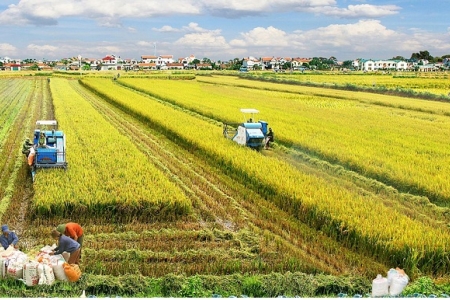 Hà Nội: Cho phép cải tạo, chống xuống cấp 107 công trình trong lĩnh vực nông nghiệp