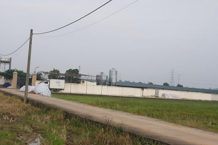 Xã Liên Hà, Đông Anh, Hà Nội: Công ty Ngọc Mừng xây dựng và hoạt động trái phép trên đất nông nghiệp