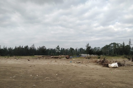 Phường Quảng Vinh (TP. Sầm Sơn, Thanh Hóa): Hàng trăm ha rừng phi lao ven biển bị bức tử