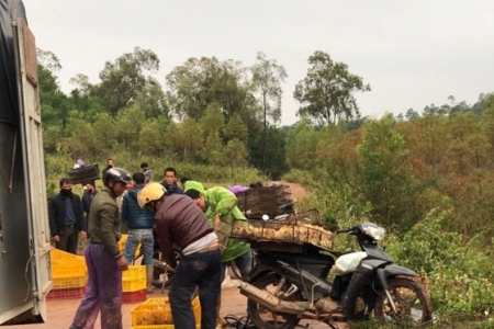 Ban hành Công điện khẩn về việc ngăn chặn tình trạng nhập lậu trái phép động vật vào VN