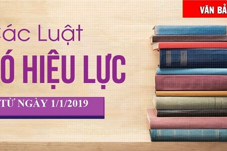 Những Luật nào sẽ có hiệu lực thi hành từ ngày 1/1/2019?