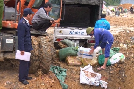 Lào Cai: Thu giữ gần 800 kg thực phẩm đông lạnh không rõ nguồn gốc