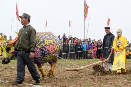 Phó Thủ tướng xuống ruộng, đi cày ở Lễ hội Tịch Điền 2019