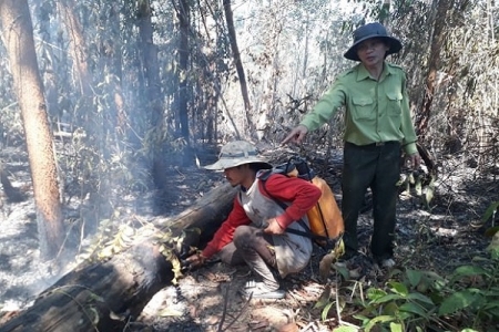 Đăk Đoa (Gia Lai): Huy động hàng trăm người chữa cháy rừng