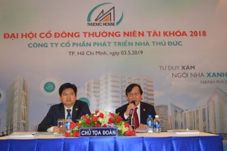 Năm 2019: Bất động sản là chủ lực trong toàn bộ cơ cấu ngành của TDH