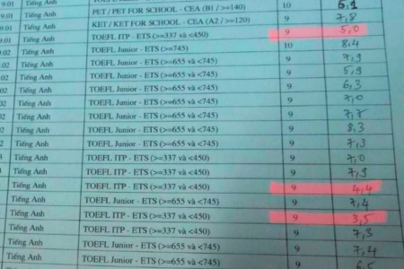 Đà Nẵng: Thanh tra toàn diện việc dạy thi chứng chỉ tiếng Anh quốc tế