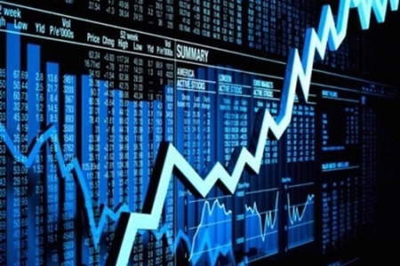 Top 50 công ty niêm yết tốt nhất năm 2019