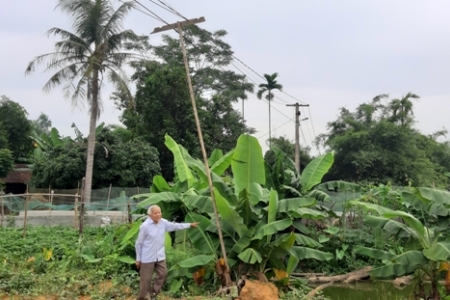 Nghệ An: Điện lực huyện Yên Thành “bỏ quên” quyền lợi người dân suốt nhiều năm