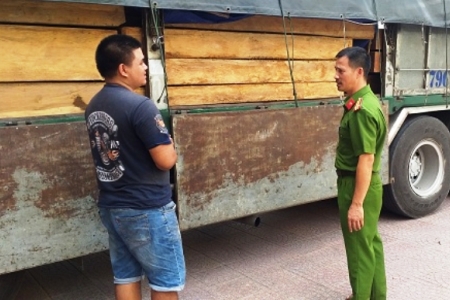 Hà Tĩnh: Kiểm tra, lòi ra gỗ lậu