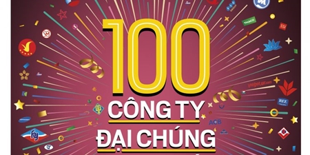 Lĩnh vực ngân hàng chiếm áp đảo trong top 100 công ty đại chúng lớn nhất