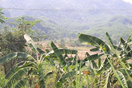 Xã Đại Hồng-H. Đại Lộc(Quảng Nam): Người dân "tố" doanh nghiệp trộm đất bán cho nhà máy gạch