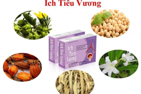 Ích Tiểu Vương - Giải pháp mới giúp cải thiện tiểu nhiều lần trong ngày