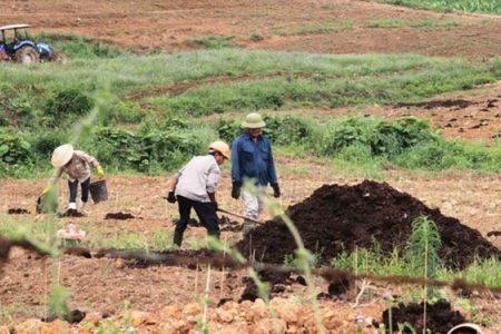 Tiếp tục truy tố 12 bị can trong đại án Trần Bắc Hà