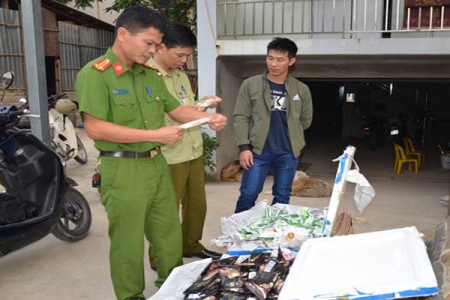 Điện Biên: Phát hiện, xử lý 804 vụ buôn lậu, vi phạm trong 06 tháng đầu năm 2020