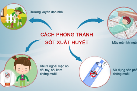 Đề phòng bệnh sốt xuất huyết, chân tay miệng do có xu hướng tăng nhanh