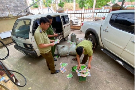 Ngăn chặn người đàn ông vận chuyển 6.500 túi hạt giống rau không chứng minh được nguồn gốc xuất xứ