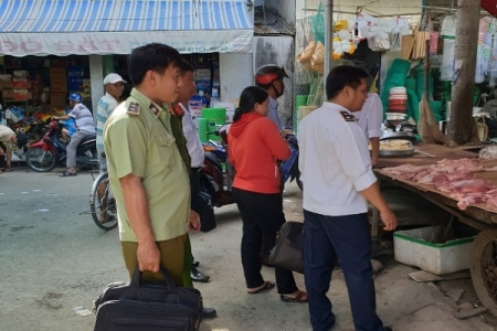 Trà Vinh: Tăng cường kiểm tra, kiểm soát, ngăn chặn hoạt động vận chuyển trái phép lợn, sản phẩm từ lợn