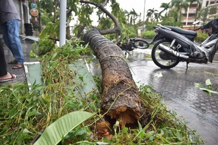 Bão số 5 đổ bộ làm một người chết, 23 người bị thương