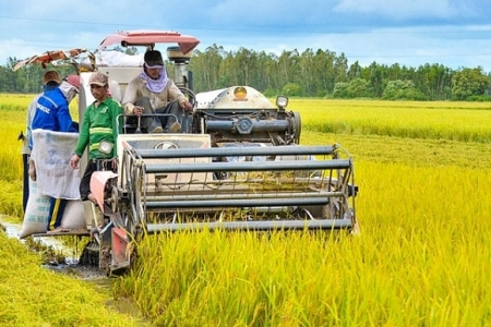 Thanh Hóa: Nỗ lực từng bước đưa sản phẩm nông nghiệp ra thị trường