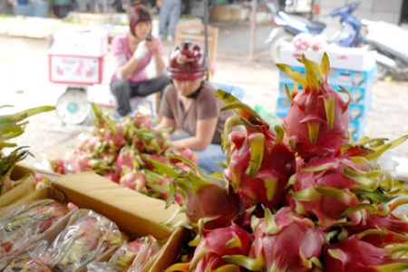 Cơ hội cho các mặt hàng rau, quả Việt Nam vào thị trường EU