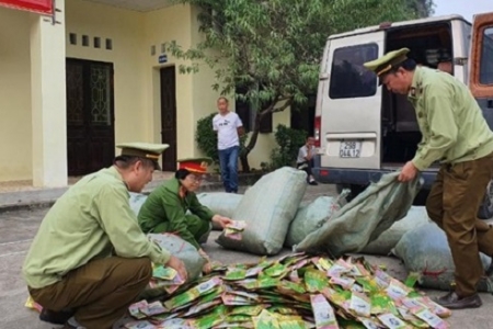 Lạng Sơn: Phát hiện hàng chục nghìn gói rau, quả giống nhập lậu từ Trung Quốc