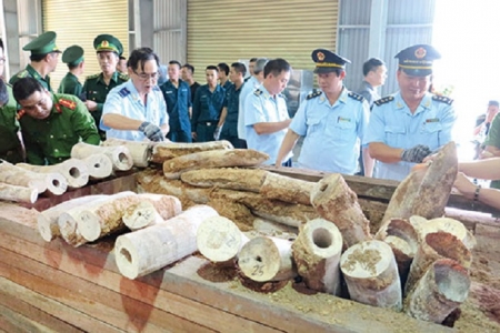 Ngành Hải quan: Tăng cường chống buôn lậu dịp Tết Nguyên đán Tân Sửu 2021