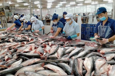 Ước tính kim ngạch xuất khẩu thủy sản cả năm 2025 đạt trên 11 tỷ USD