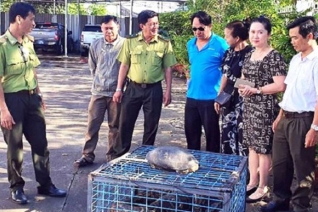 Kiên Giang: Kêu gọi, vận động người dân giao nộp động vật quý hiếm