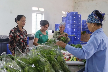 Gắn kết giữa sản xuất và phân phối hàng hóa để phát triển thị trường bền vững