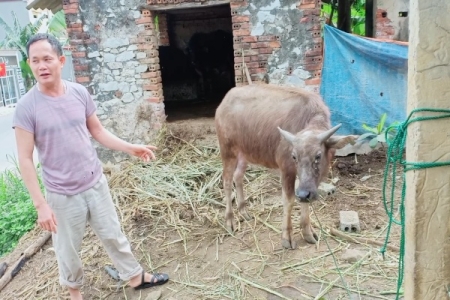 Cẩm Thủy (Thanh Hóa): Nhiều hộ dân nhận nghé dự án rồi bán lại cho chính đơn vị cung ứng?