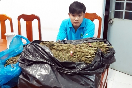 Thu giữ 10,7kg thảo mộc nghi là cần sa tại An Giang